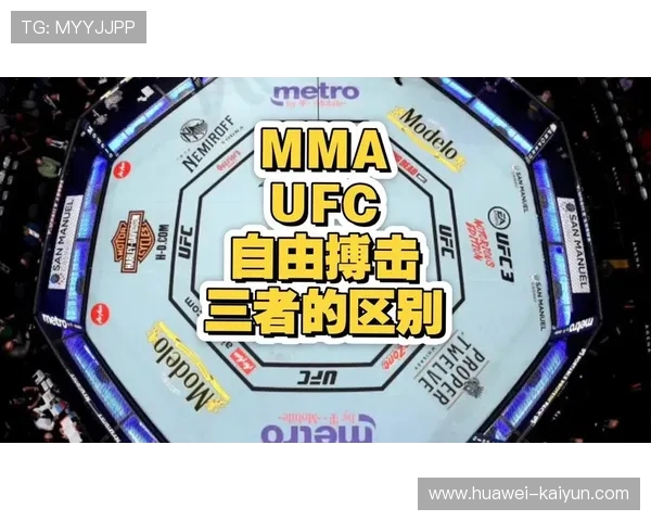 UFC 与 MMA 的区别：深入了解综合格斗的顶级赛事